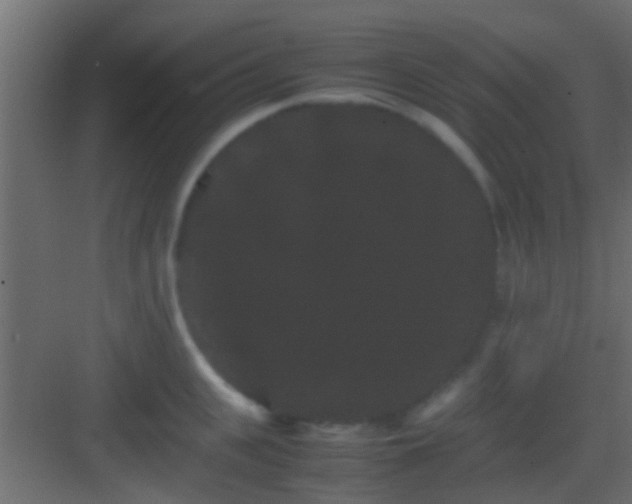 X0000082940951200702081620