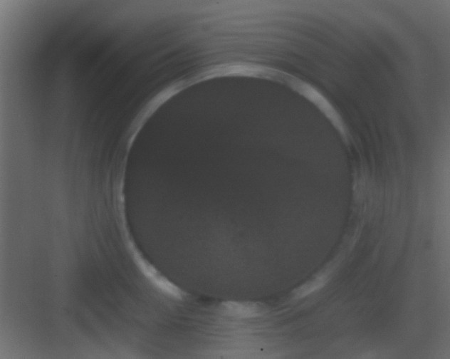 X0000082940954200702081620