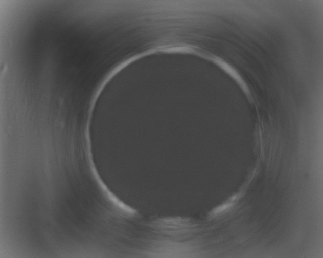 X0000082940959200702081620