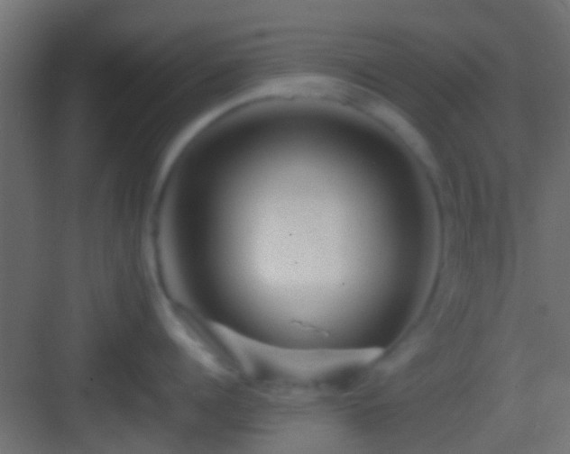 X0000082940960200702081620