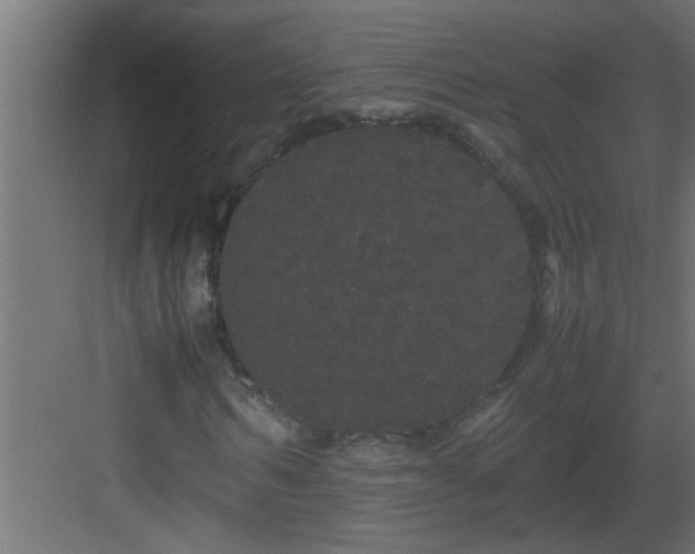 X0000082940962200702081619