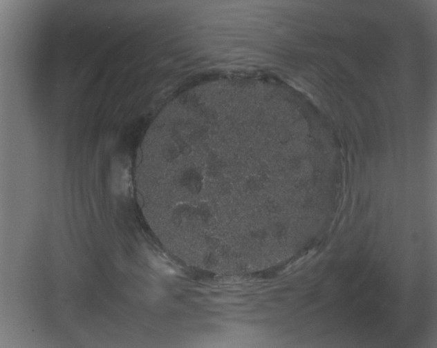 X0000082940963200702081619