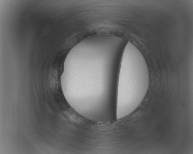 X0000082940964200702081619