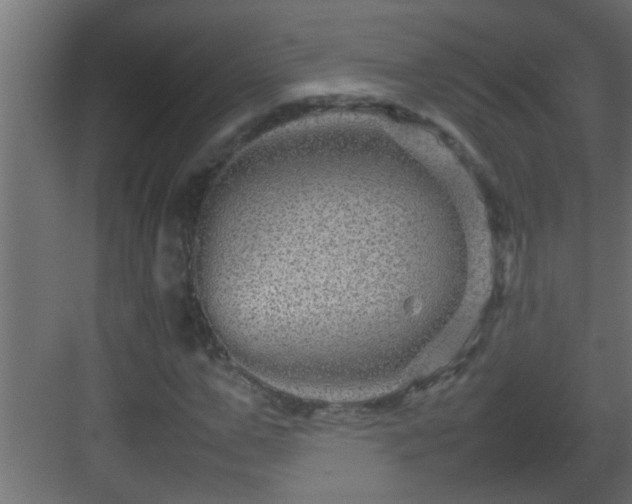 X0000082940967200702081619