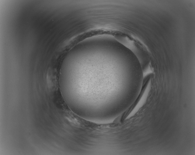 X0000082940968200702081619