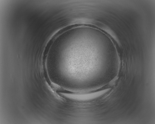 X0000082940972200702081619