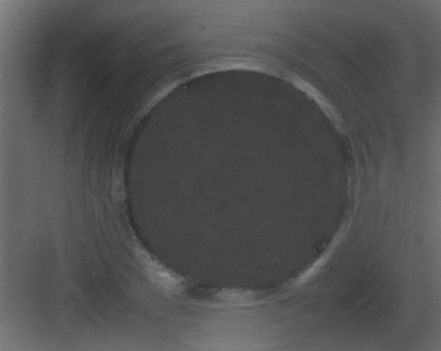 X0000082940977200702081619