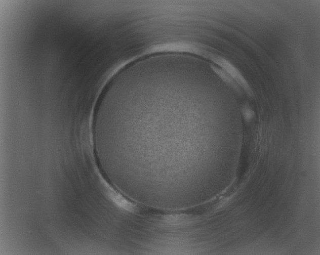 X0000082940988200702081619
