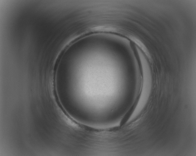X0000082940992200702081619