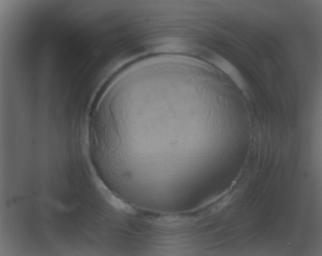 X0000082941000200702081619