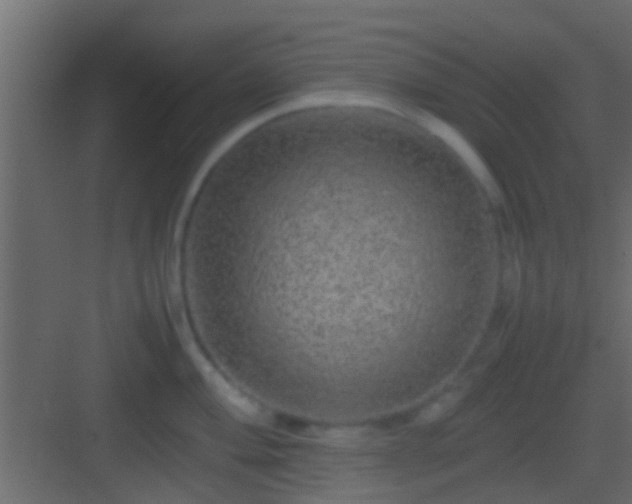 X0000082941004200702081618