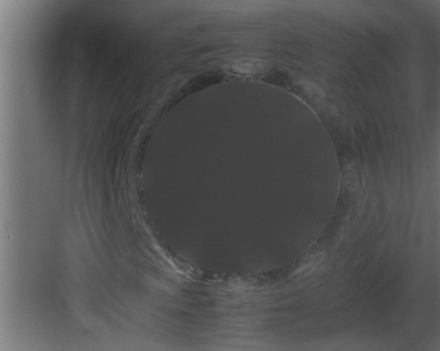 X0000082941009200702081618