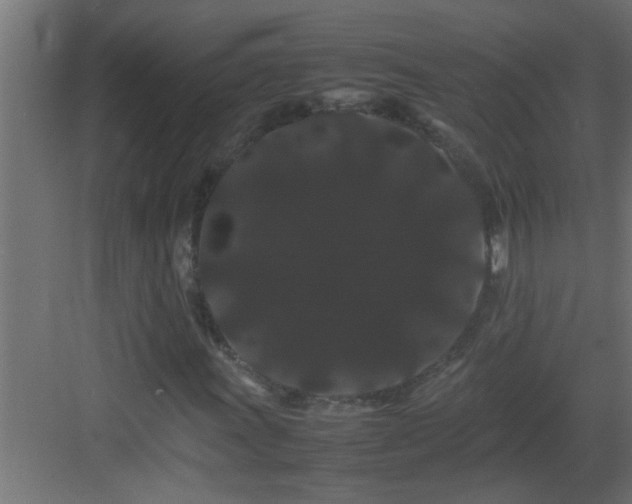 X0000082941011200702081618