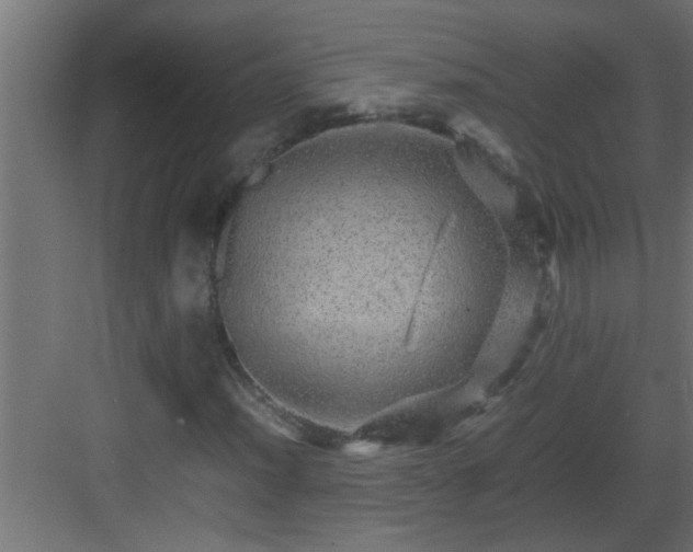 X0000082941012200702081618