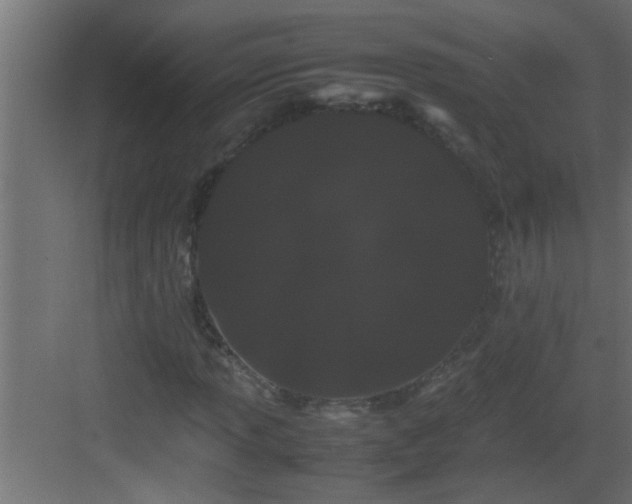 X0000082941013200702081618