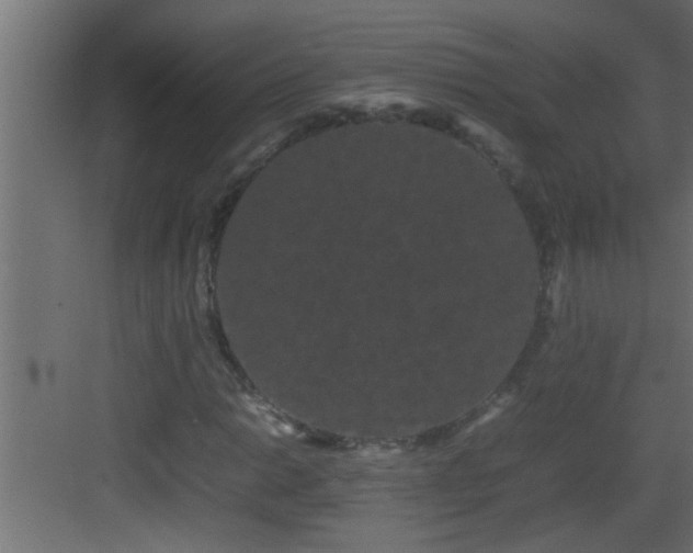 X0000082941014200702081618