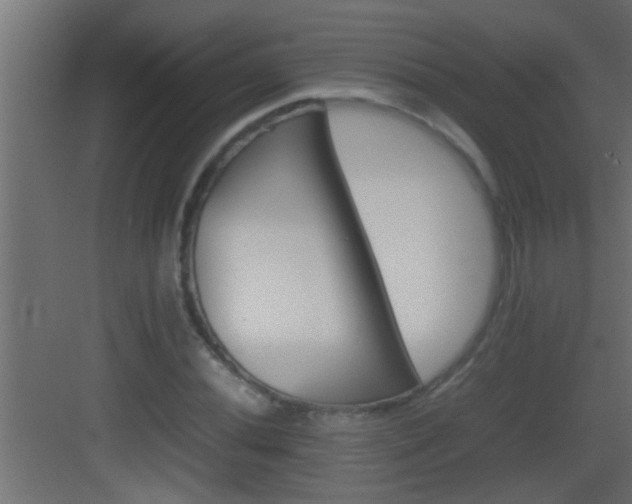 X0000082941020200702081618