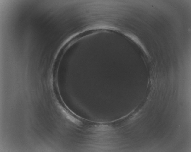 X0000082941024200702081618