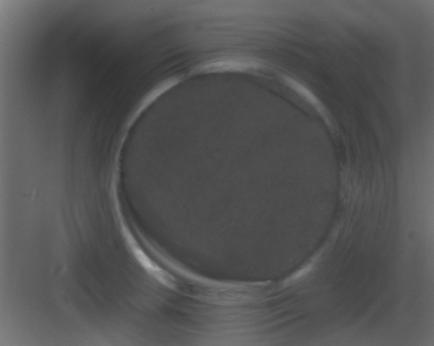 X0000082941042200702081618