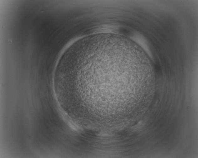X0000082941051200702081618