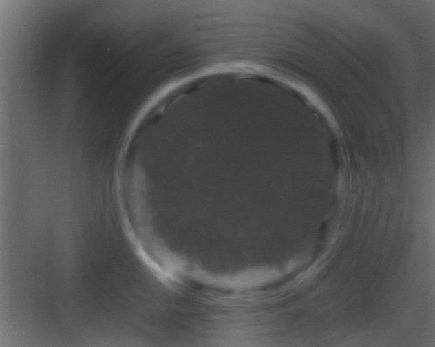 X0000082941054200702081618