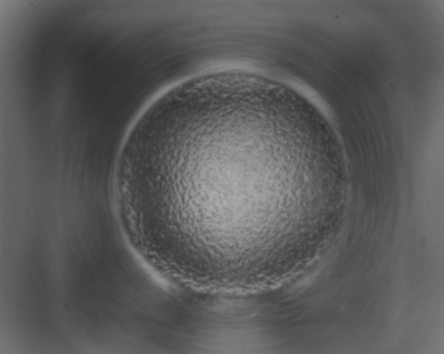 X0000082941056200702081618