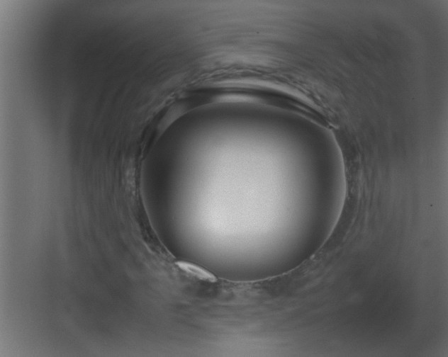 X0000082941061200702081617