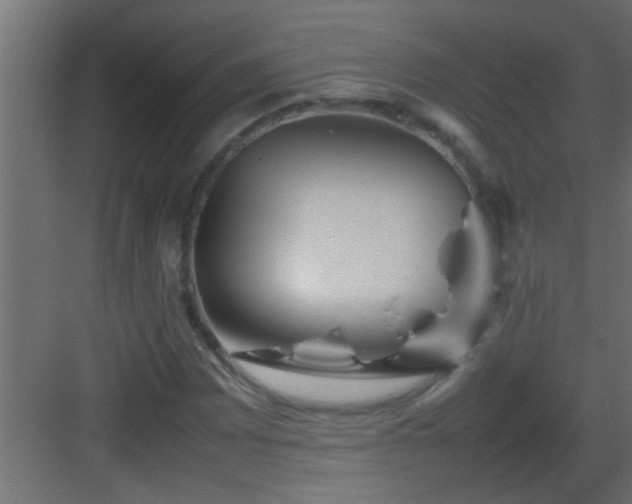 X0000082941065200702081617