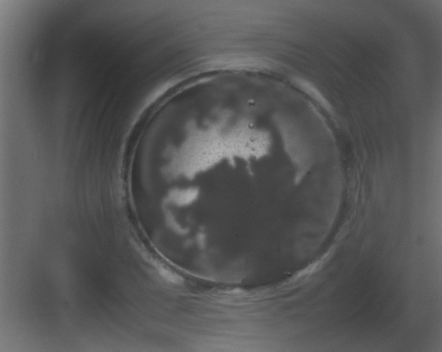X0000082941071200702081617