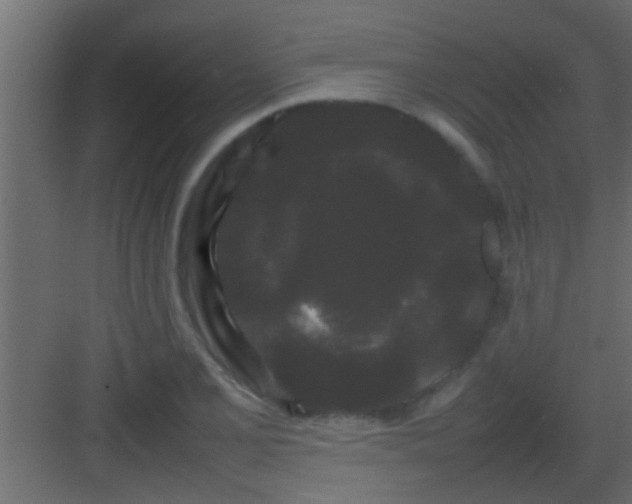X0000082941077200702081617