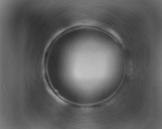 X0000082941080200702081617