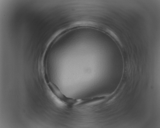 X0000082941082200702081617