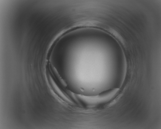 X0000082941085200702081617