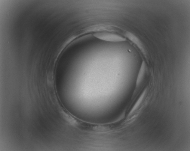 X0000082941089200702081617