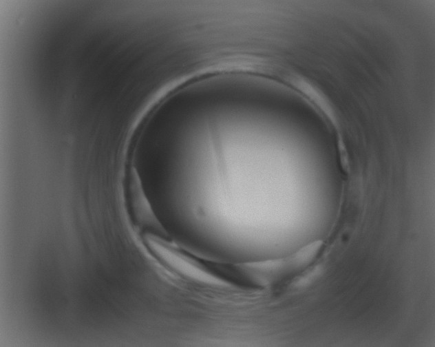 X0000082941093200702081617