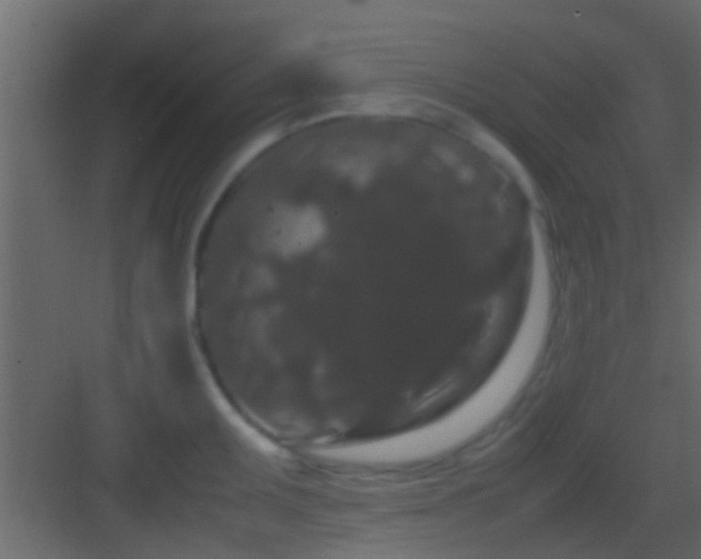 X0000082941095200702081617