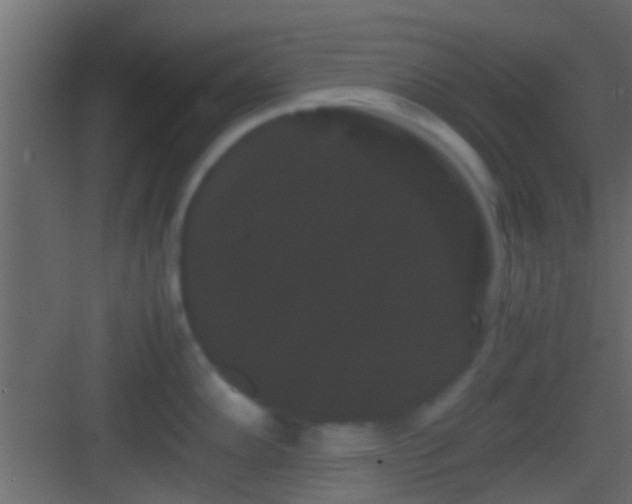 X0000082941102200702081617