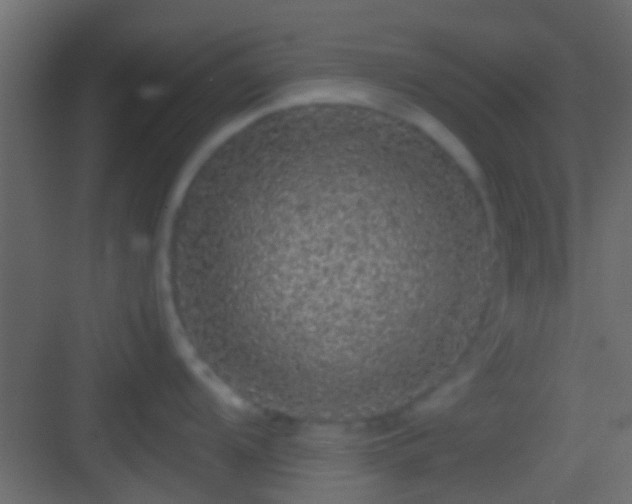 X0000082941104200702081617