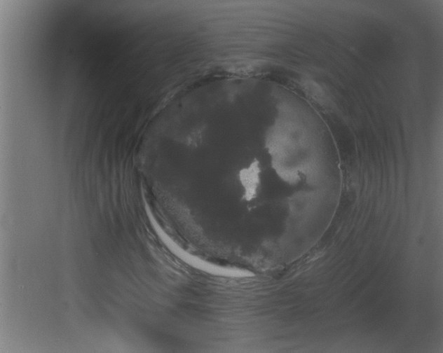 X0000082941106200702081616
