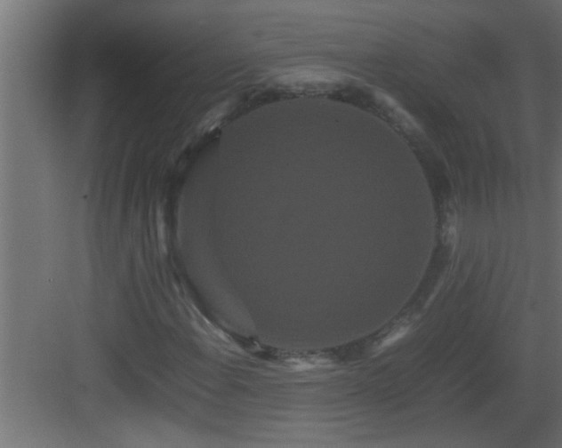 X0000082941108200702081616