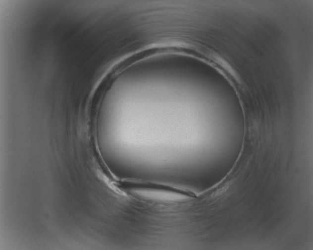 X0000082941116200702081616