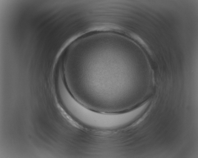 X0000082941122200702081616