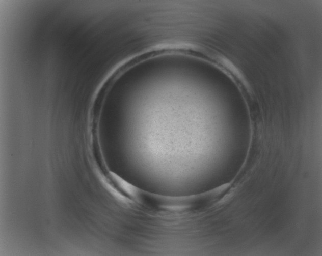 X0000082941124200702081616