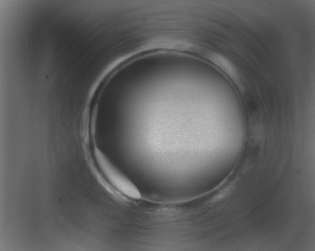 X0000082941128200702081616