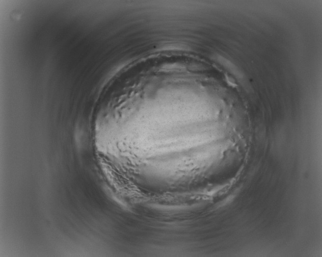 X0000082941129200702081616