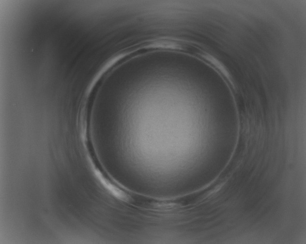 X0000082941131200702081616
