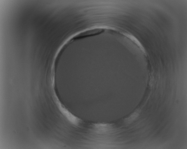 X0000082941132200702081616