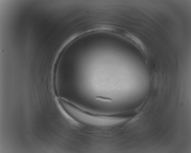 X0000082941135200702081616