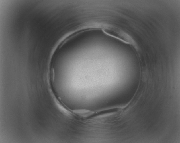 X0000082941136200702081616
