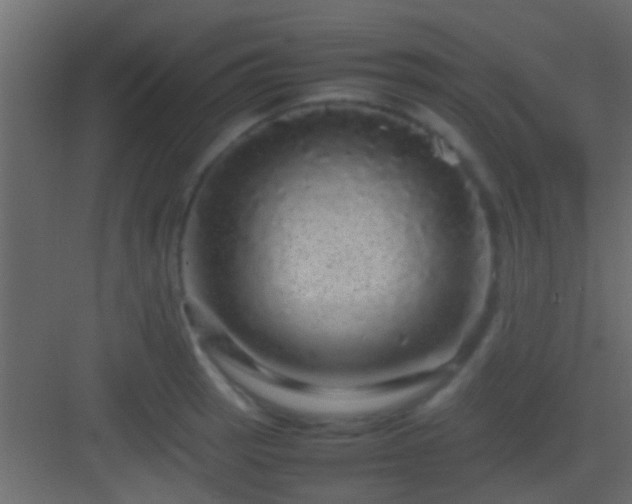 X0000082941137200702081616